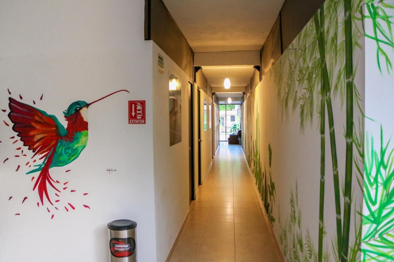 Hostal Gayser バリャドリッド エクステリア 写真